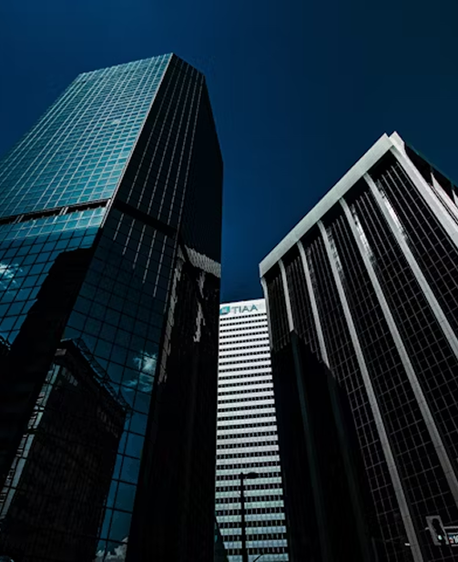 Principal Investors And Private Equity